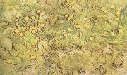 Vincent Van Gogh A Field of Yellow Flowers (nn04) oil painting on canvas